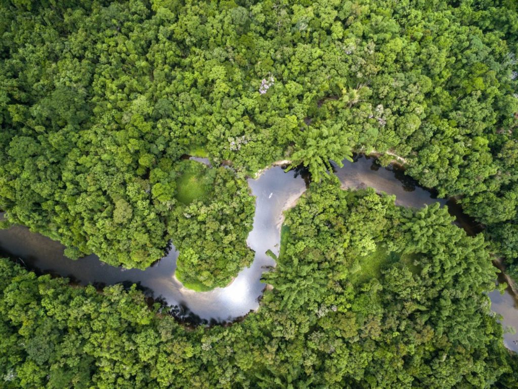 Vista superior da Floresta Amazônica