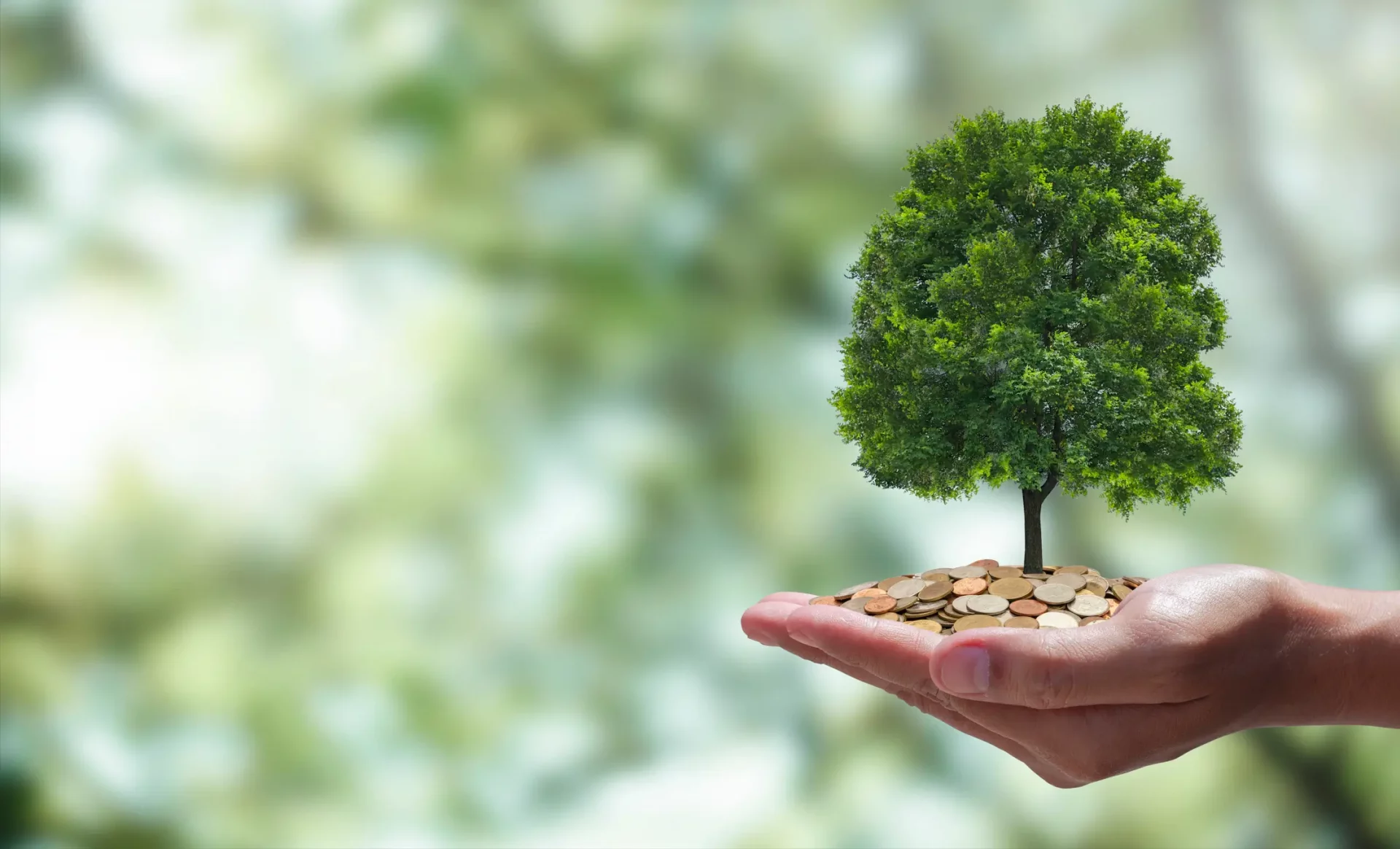 O que é crédito de carbono? Entenda!