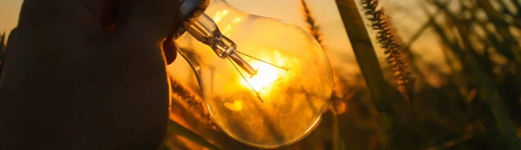 pessoa segurando uma lâmpada contra o sol