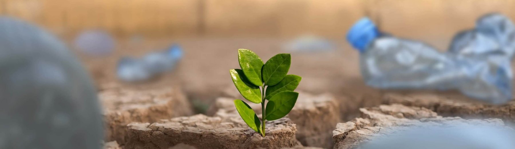 Planta verde crescendo em terra seca e rachada cercada por resíduos de garrafas plásticas e cidade poluída e indústria no fundo. Co2, mudança climática e plástico são impacto no conceito da mãe terra.